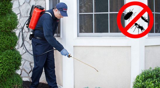 Yerköy Dezenfeksiyon böcek ilaçlama ve haşere kontrolü — ilaclama-tr.com